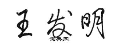 駱恆光王發明行書個性簽名怎么寫