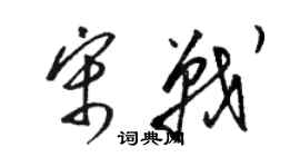 駱恆光宋戰草書個性簽名怎么寫