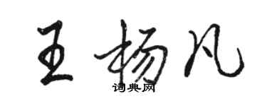 駱恆光王楊凡行書個性簽名怎么寫
