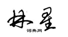 朱錫榮林星草書個性簽名怎么寫