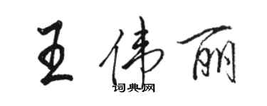 駱恆光王偉麗行書個性簽名怎么寫