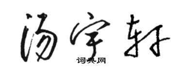 駱恆光湯宇軒草書個性簽名怎么寫