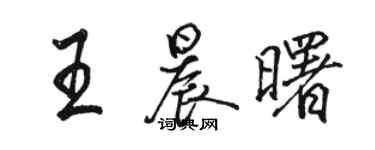 駱恆光王晨曙行書個性簽名怎么寫