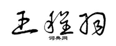曾慶福王程羽草書個性簽名怎么寫