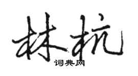 駱恆光林杭行書個性簽名怎么寫
