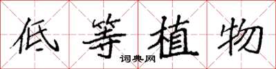 袁強低等植物楷書怎么寫