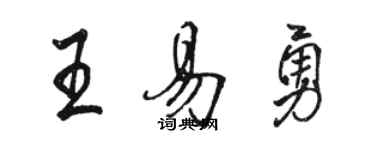 駱恆光王易勇行書個性簽名怎么寫