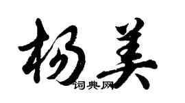 胡問遂楊美行書個性簽名怎么寫