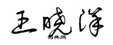 曾慶福王曉洋草書個性簽名怎么寫