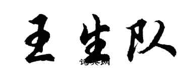 胡問遂王生隊行書個性簽名怎么寫