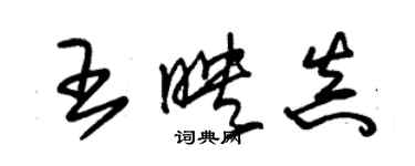 朱錫榮王映真草書個性簽名怎么寫