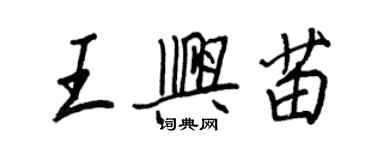 王正良王興苗行書個性簽名怎么寫