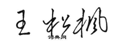 駱恆光王松楓草書個性簽名怎么寫