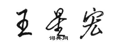 駱恆光王星宏行書個性簽名怎么寫