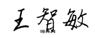 王正良王智敏行書個性簽名怎么寫