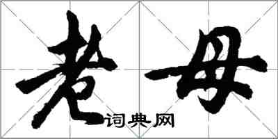 胡問遂老母行書怎么寫