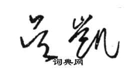 駱恆光吳凱草書個性簽名怎么寫