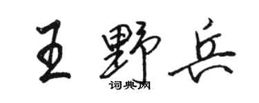 駱恆光王野兵行書個性簽名怎么寫