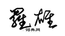 朱錫榮羅雄草書個性簽名怎么寫