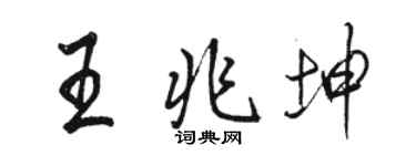 駱恆光王兆坤行書個性簽名怎么寫