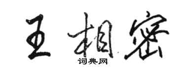駱恆光王相密行書個性簽名怎么寫