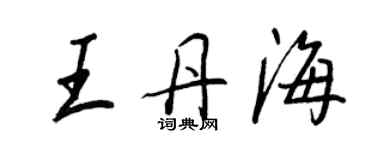 王正良王丹海行書個性簽名怎么寫