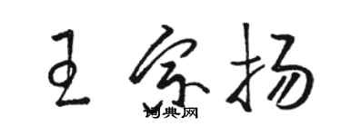 駱恆光王宗揚草書個性簽名怎么寫