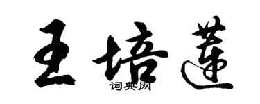 胡問遂王培蓮行書個性簽名怎么寫