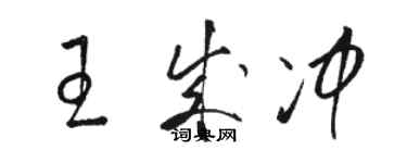 駱恆光王成沖草書個性簽名怎么寫