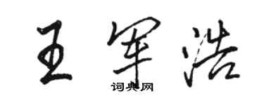 駱恆光王軍浩行書個性簽名怎么寫