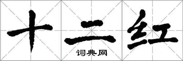 翁闓運十二紅楷書怎么寫