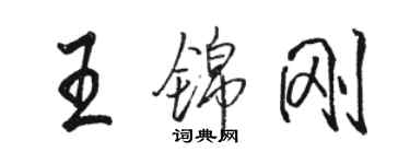 駱恆光王錦剛行書個性簽名怎么寫