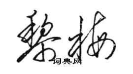 駱恆光黎梅草書個性簽名怎么寫