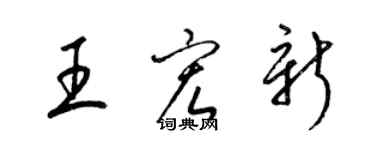 梁錦英王宏新草書個性簽名怎么寫