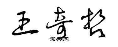 曾慶福王奇哲草書個性簽名怎么寫