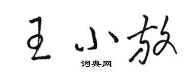 駱恆光王小放草書個性簽名怎么寫