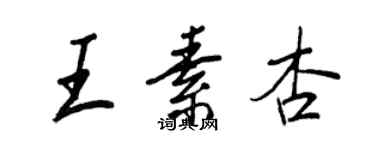 王正良王素杏行書個性簽名怎么寫