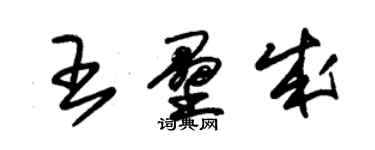 朱錫榮王壘成草書個性簽名怎么寫