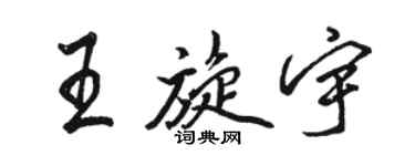 駱恆光王旋宇行書個性簽名怎么寫