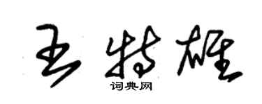 朱錫榮王特雄草書個性簽名怎么寫