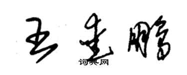朱錫榮王愛鵬草書個性簽名怎么寫
