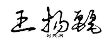 曾慶福王揚麗草書個性簽名怎么寫