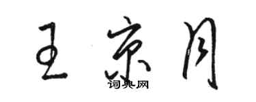 駱恆光王京月草書個性簽名怎么寫