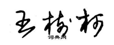 朱錫榮王樹柯草書個性簽名怎么寫