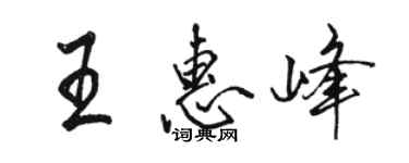 駱恆光王惠峰行書個性簽名怎么寫