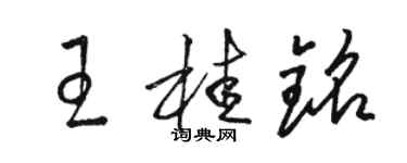 駱恆光王桂銘草書個性簽名怎么寫