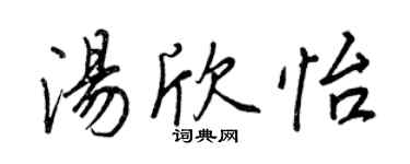 王正良湯欣怡行書個性簽名怎么寫