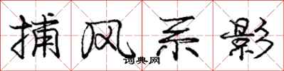 龐中華捕風系影行書怎么寫