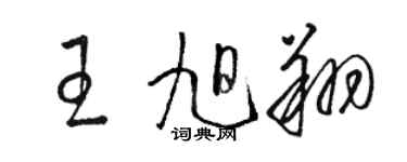 駱恆光王旭翔草書個性簽名怎么寫