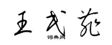 梁錦英王民菲草書個性簽名怎么寫